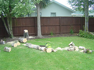 Tree_removal _1