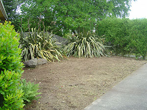 Adams Pl After