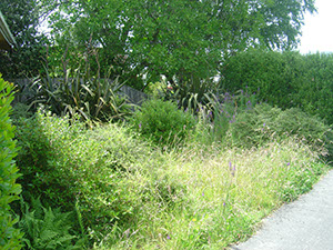 Adams Pl Before