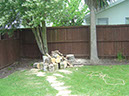Tree_removal 2