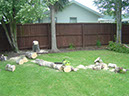 Tree_removal _1